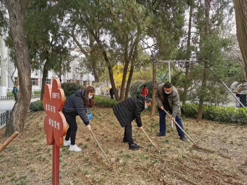 植树党建活动3